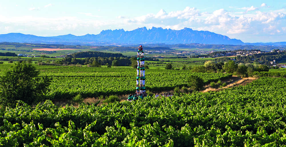 CASTELLERS DE VILAFRANCA -- 2016_Castell entre vinyes_Roser Ortiz